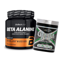 קדם אימון וממריצים